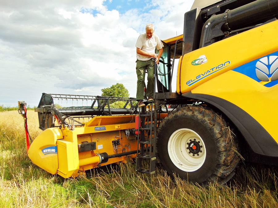 
Dainis Druseiks, Brunavas pagasta zemnieku saimniecības «Paegļi» saimnieks, 27 hektārus lielo rapšu lauku nokūlis divās dienās.
Autors: Vilnis Auzāns