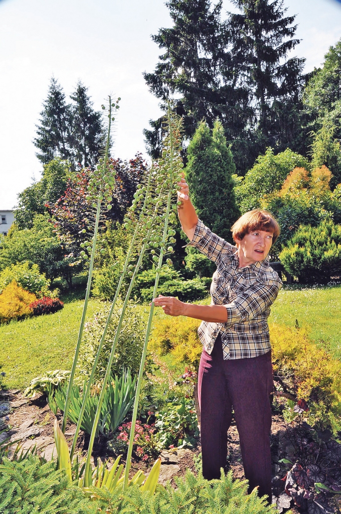 Autors: Dainis Ģelzis