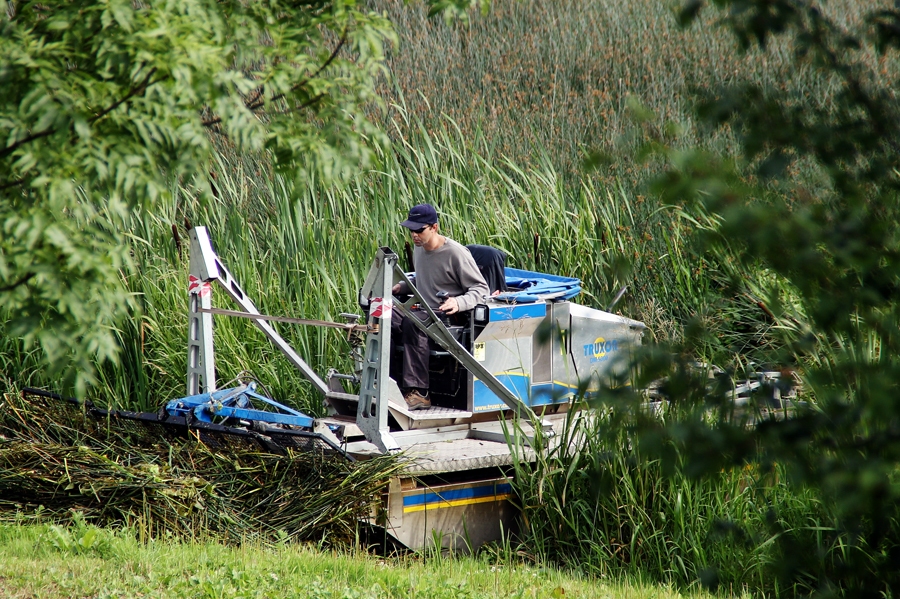 Zāli pļauj SIA «Piekrastei.lv» pļāvējs.
Autors: Uldis Varnevičs