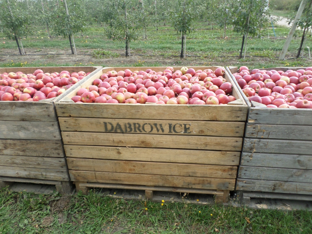 Autors: laukutikls.lv