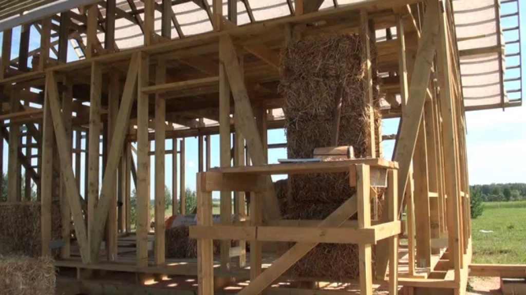 Autors: bioville.com