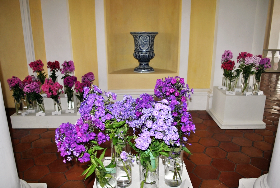 Flokšu izstāde Rundāles pilī – līdz svētdienai un bez maksas.
Autors: Māris Krūmiņš