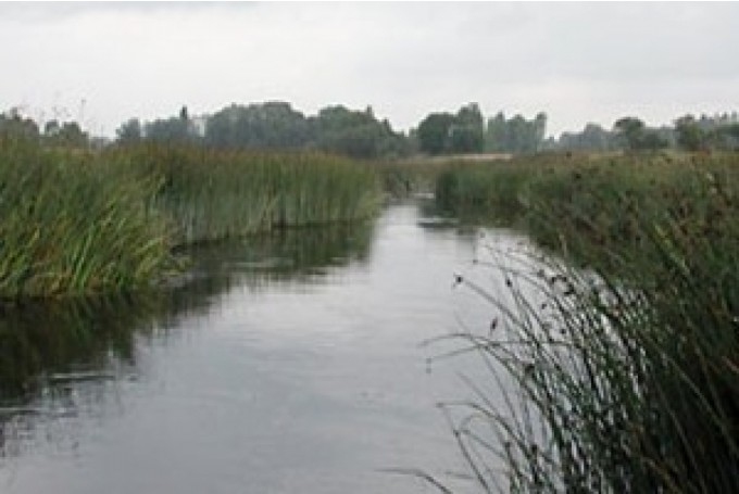 Attēlam ilustratīva nozīme.
Autors: no 