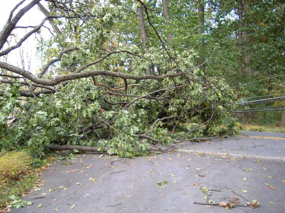 Attēlam ilustratīva nozīme.
Autors: no 