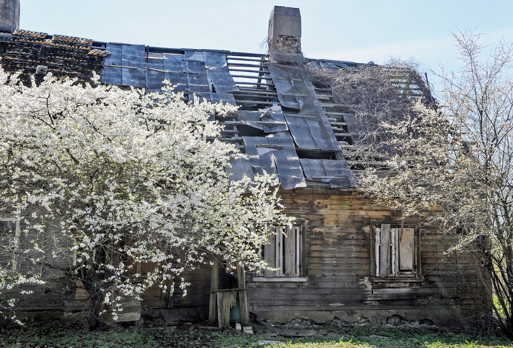 Aluksniesiem.lv raksta attēla aizvietotājs