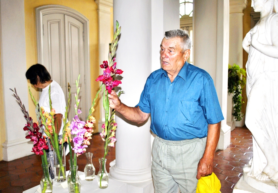 Visvaldis Viņķelis Stelpes dārzā radītās gladiolas izrāda arī citviet Latvijā – drīzumā kolekcija ceļos uz Jēkabpili, Rīgu un Liepāju.
Autors: Artūrs Dulbe