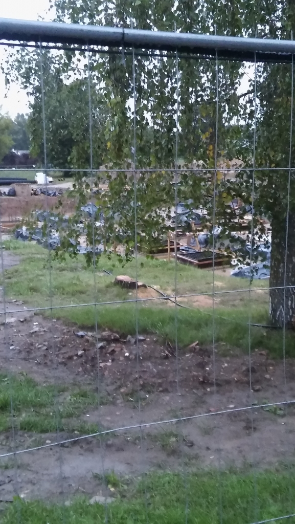 Autors: Aculiecinieks