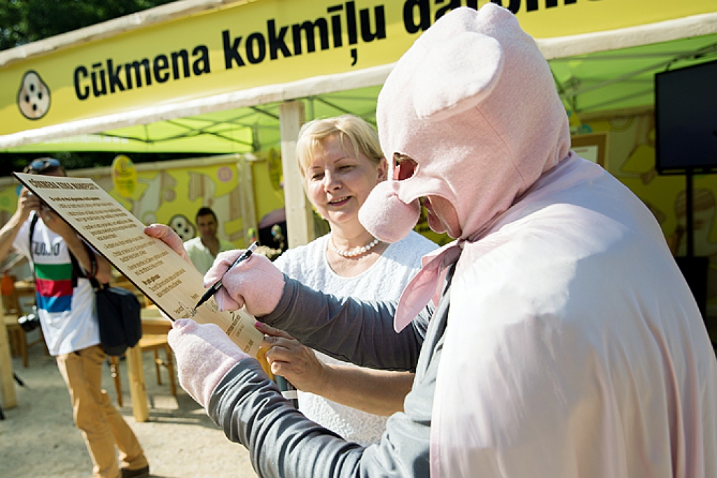 Aluksniesiem.lv raksta attēla aizvietotājs