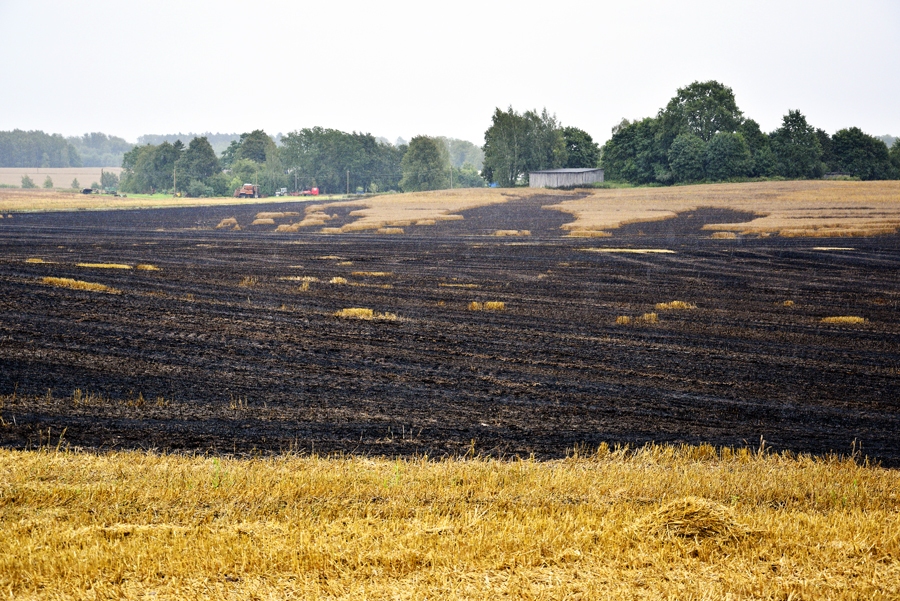 Bauskas novada Mežotnes pagastā pirmdienas, 15. augusta, pēcpusdienā liesmas postījušas labības lauku.
Autors: Ivars Bogdanovs