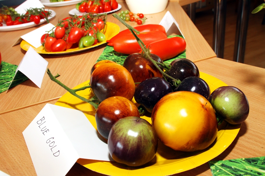 Valles bibliotēkā izstādē bija skatāmas ap 50 tomātu šķirņu.
Autors: Ivars Bogdanovs