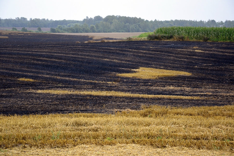 Attēlam ir ilustratīva nozīme.
Autors: no «Bauskas Dzīves» arhīva