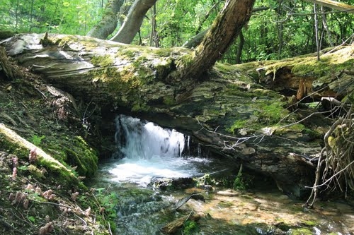 Attēlam ir ilustratīva nozīme.
Autors: lugaresquever.com