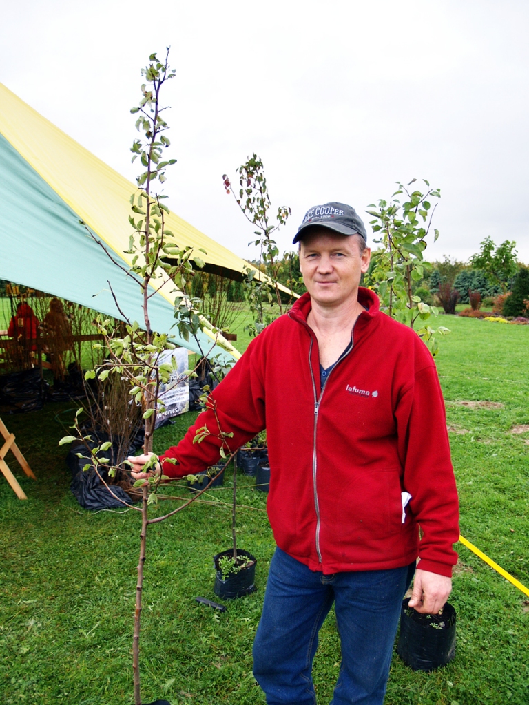 Māra Kaminska saimniecībā «Dzērves» joprojām varēs nopirkt augļu koku stādus, kas audzēti tīrā vidē.
Autors: no «Bauskas Dzīves» arhīva