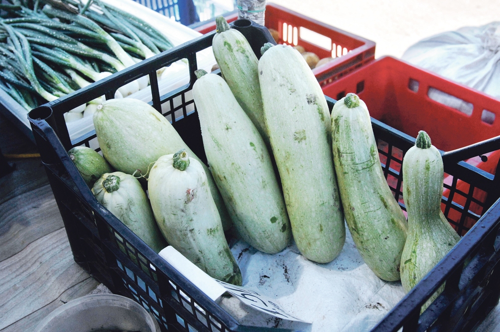 Dārzeņu raža šogad ir laba, taču glabāšana būs sarežģītāka augustā piedzīvotā mitruma dēļ.
Autors: no «Bauskas Dzīves» arhīva