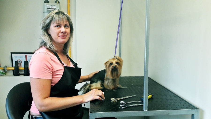 Ilvijas Bauskas pastāvīgā kliente ir Jorkšīras terjera meitene Pupiņa.
Autors: Artūrs Dulbe