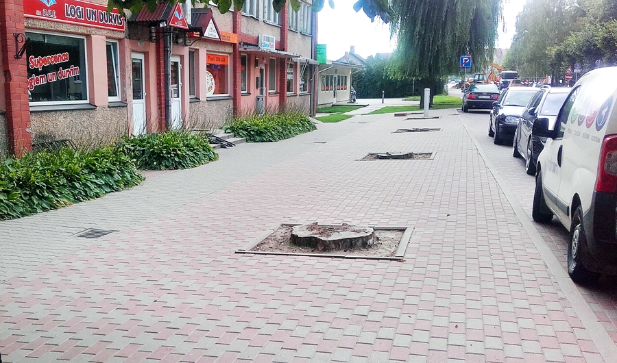 Vītolus Salātu ielas malā Bauskā nozāģēja, jo tie bija veci un bojātiem stumbriem. Taču to celmi trotuārā rēgosies līdz nākamā gada pavasarim.
Autors: Vilnis Auzāns