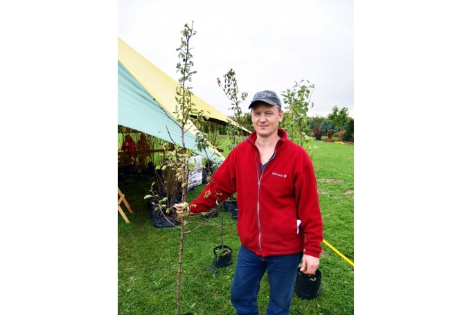 Māra Kaminska vadītajā saimniecībā «Dzērves» varēs nopirkt augļu koku stādus, kas audzēti tīrā vidē.
Autors: no «Bauskas Dzīves» arhīva