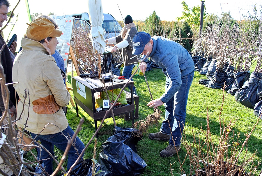 Māris Kaminskis tirgoja augļu koku stādus un sniedza padomus to kopšanai. 
Autors: Antra Ērgle