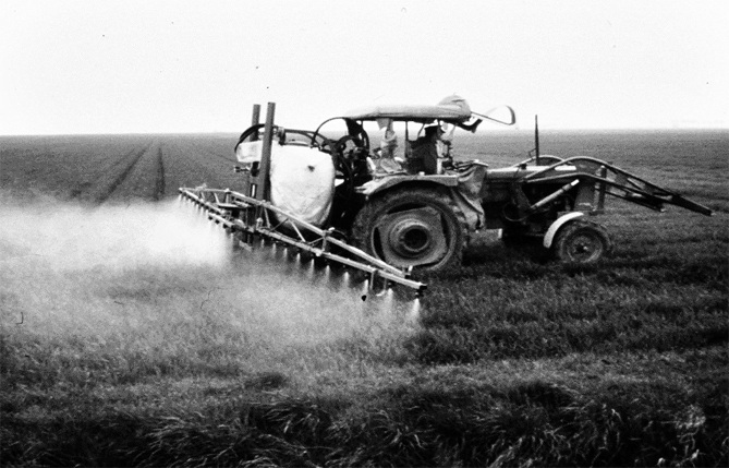 Apstrādes tehniku pārbauda reizi četros gados, vēlams par +7 grādiem siltākā laikā.
Autors: no aģentūras albuma.