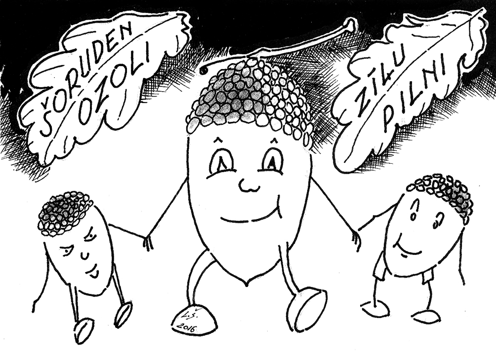 Aluksniesiem.lv raksta attēla aizvietotājs