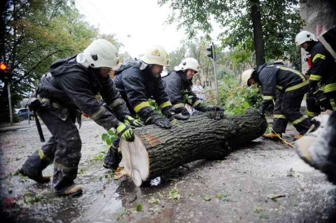 Attēlam ir ilustratīva nozīme.
Autors: la.lv