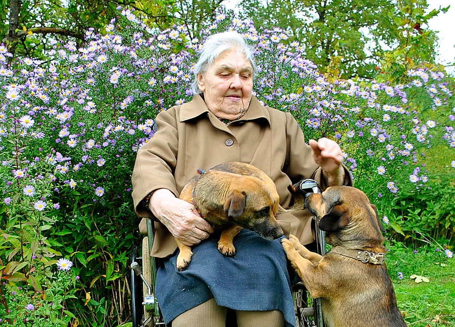 Stelpiete Milda Dambe ar saviem uzticamajiem draugiem – Rokiju un Lakiju. 
Autors: Māris Krūmiņš