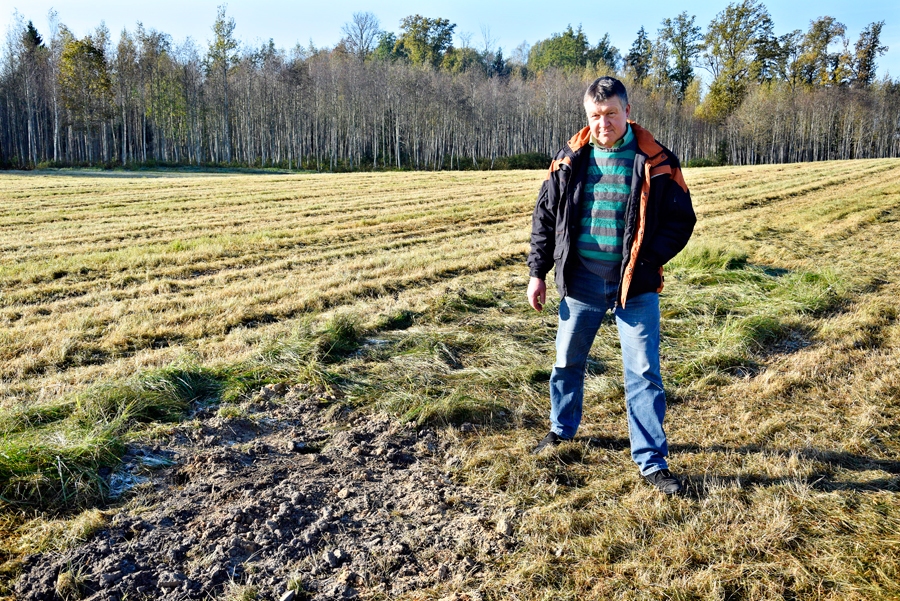 «Kapiņš», kur metra dziļumā aprakta ar Āfrikas cūku mēri 
inficētā mežacūka. Egils Reinbergs, mednieku kolektīva «Vecumnieki» vadītājs, «gida» lomā.
Autors: Ivars Bogdanovs
