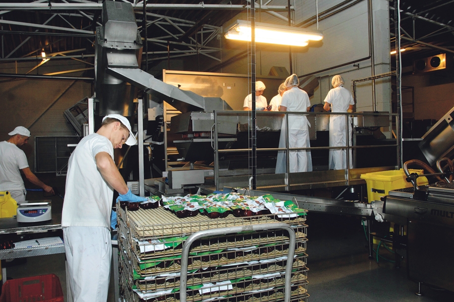 SIA «Jaunkrasts» biešu ražotnes izbūve izmaksāja 4,8 miljonus eiro. Par uzcelto ražotni Eiropa atmaksāja 75 procentus no projekta summas jeb 3,6 miljonus eiro. 1,2 miljonus eiro ieguldīja Druseiku ģimene. Ražotnes īpašnieks – kooperatīvs «Baltijas dārzeņi», jo tādi bija ES atbalsta programmas nosacījumi. Noruna, kā iekārtas piecu gadu laikā pāriet pie zemniekiem, dokumentāri nav fiksēta. 
Autors: no «Bauskas Dzīves» arhīva