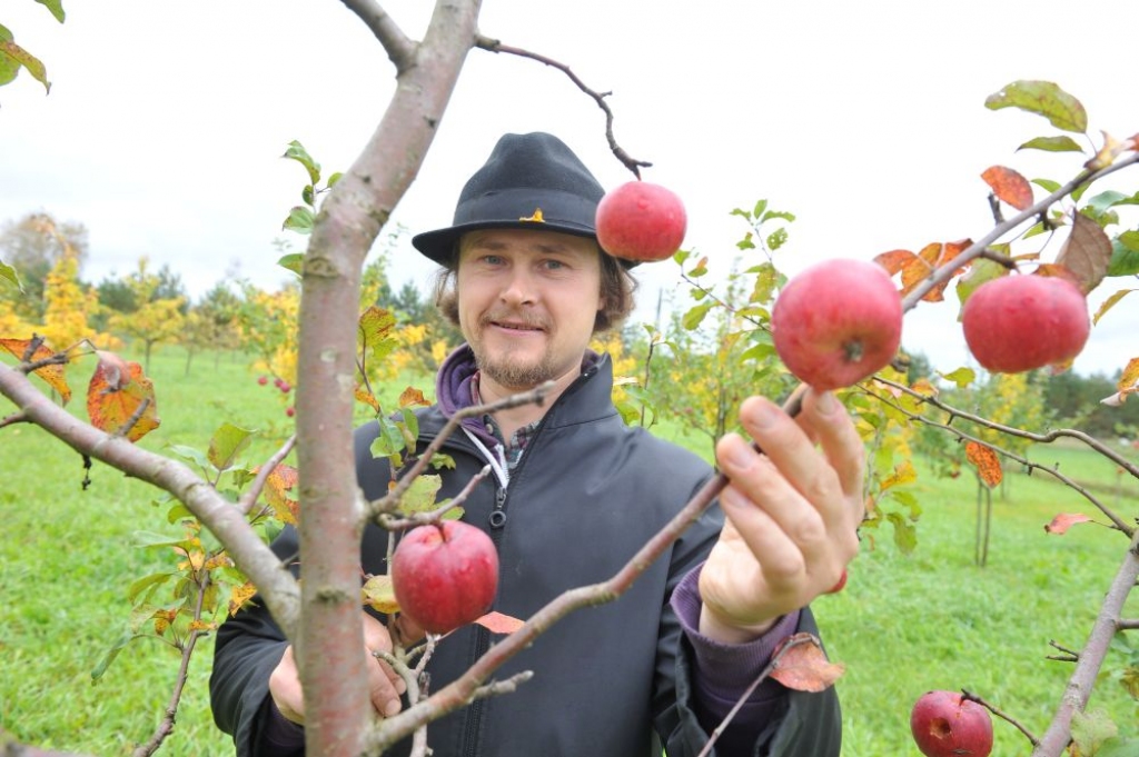 Aluksniesiem.lv raksta attēla aizvietotājs