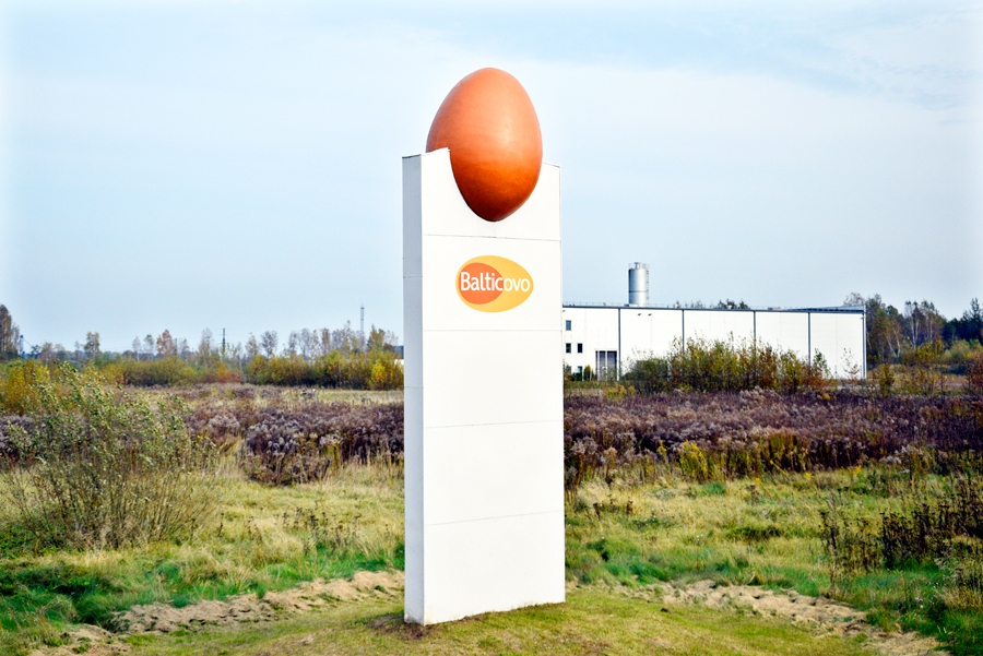 «Balticovo» mājas tirgū – Latvijā, Lietuvā, Igaunijā – patērētāji vairāk nekā 90% gadījumu izraugās būros audzētu vistu olas, kas ir ievērojami lētākas. 
Autors: Ivars Bogdanovs