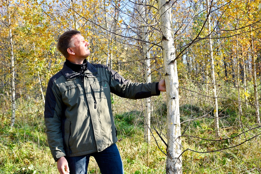 Lauris Ropājs, akciju sabiedrības «Latvijas Valsts meži» Bauskas iecirkņa vadītājs, pie bērziem, kas pirms desmit gadiem stādīti kādā laukā Rundāles novadā.
Autors: Ivars Bogdanovs