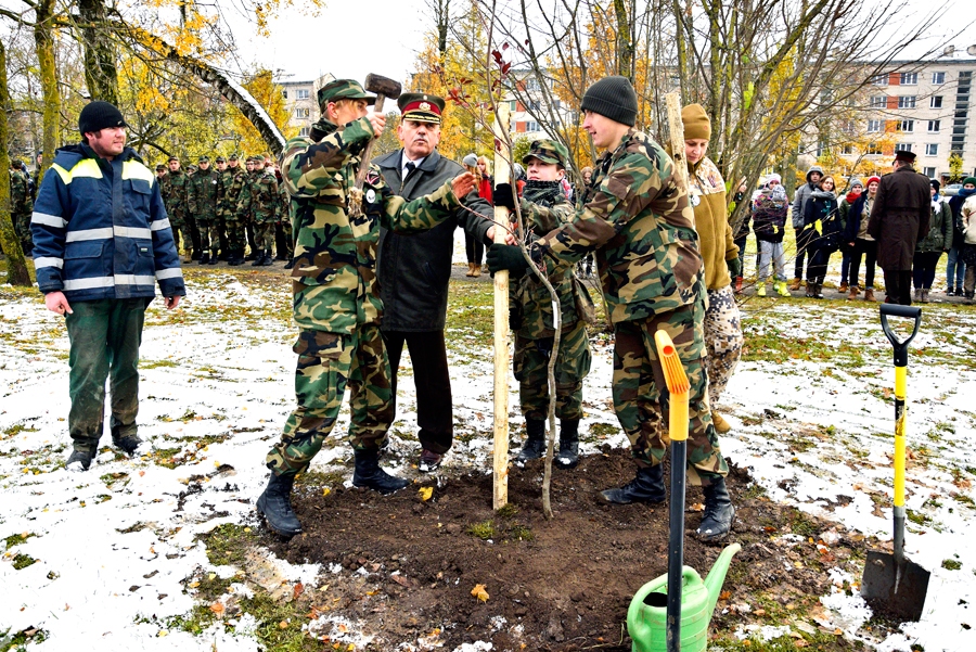 Sarīkojuma «Latviešu karavīrs laikmetu griežos» laikā Korfa dārzā Bauskā tika iedēstīti koki. Stādītāju vidū arī Pilsrundāles vidusskolas 10. klases audzēknis Oskars Mihailovs (no labās), pulkvedis Juris Dalbiņš (centrā).
Autors: Ivars Bogdanovs