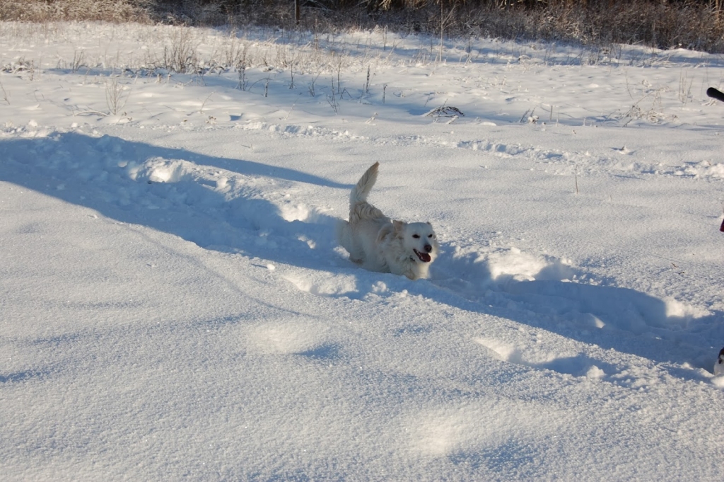 Fotoattēlam ilustratīva nozīme.
Autors: diena.lv