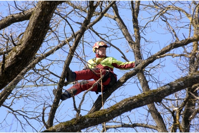 Fotoattēlam ilustratīva nozīme.
Autors: No arhīva.