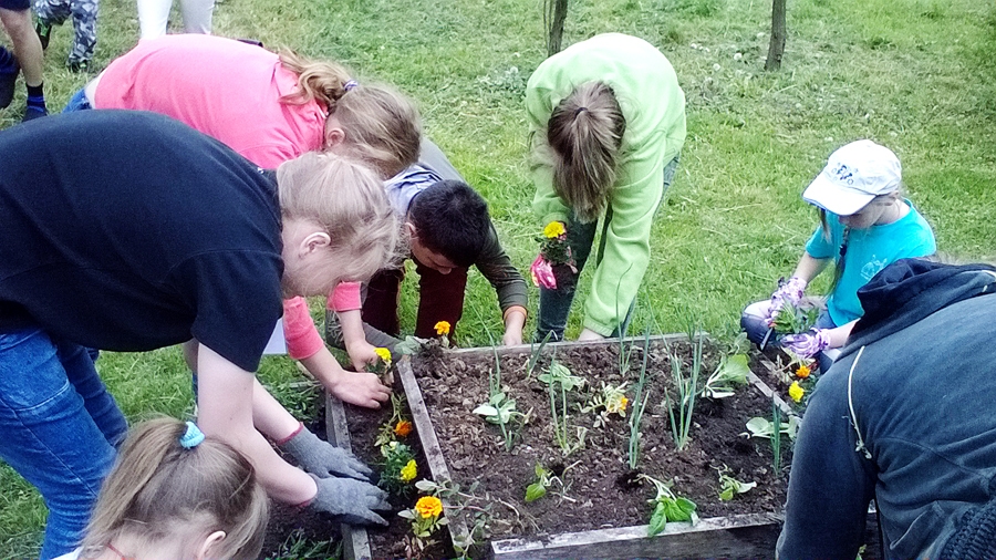 Mežgaļu pamatskolas audzēkņi veic uzdevumus vasaras nometnē.
Autors: no albuma