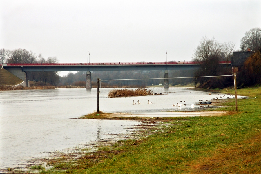 Mūsā pie Bauskas ūdens līmeņa celšanās sākās 14. novembrī un turpinājās nedēļu – līdz pat 21. novembrim. Ūdens līmenis Mūsā palielinājies par vienu metru. 
Autors: Uldis Varnevičs