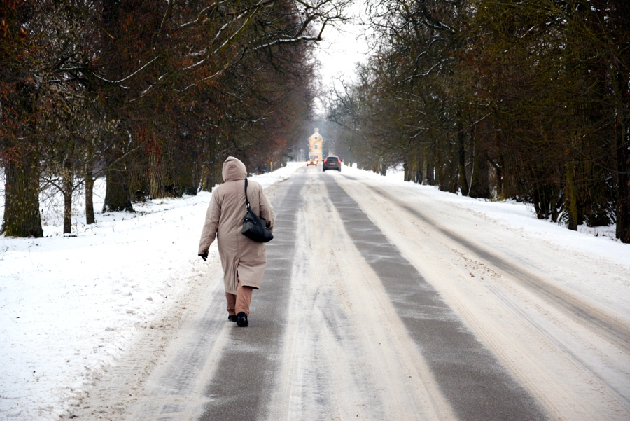 Ceļa posmu Pilsrundāles vidusskola–Rundāles pils ikdienā mēro daudzi vietējie iedzīvotāji. 
Autors: Ivars Bogdanovs