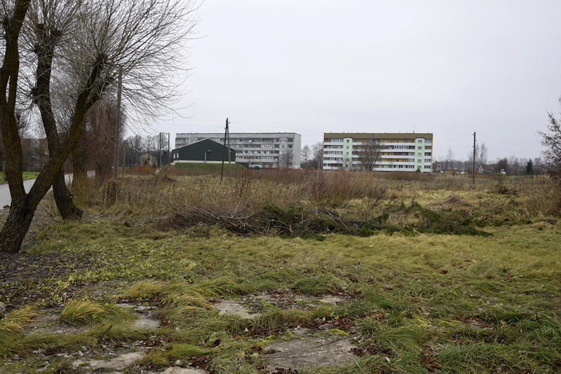 Divpadsmit hektāru platībā Bauskas nomalē varētu tapt jaunais pilsētas parks. 
Autors: Ivars Bogdanovs