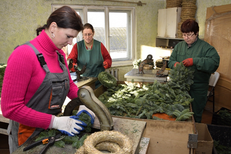 SIA «Ints & Co» ražotnē Gailīšu pagastā adventes vainagus pin Aiva Pūre (no kreisās), Edīte Sprukste un Marija Toņenkaja. 
Autors: Ivars Bogdanovs