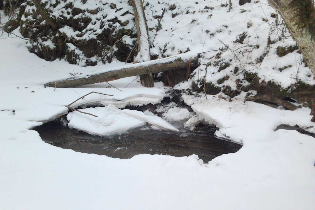 Fotoattēlam ilustratīva nozīme.