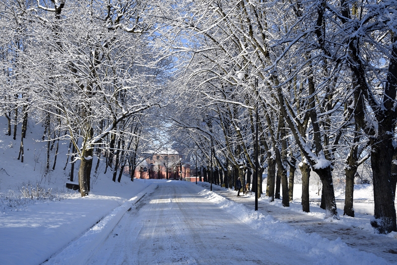 Autors: Ivars Bogdanovs