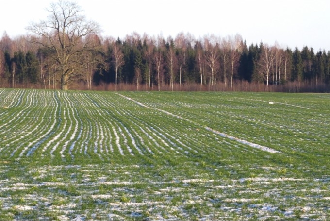 Fotoattēlam ilustratīva nozīme.
Autors: staburags.lv