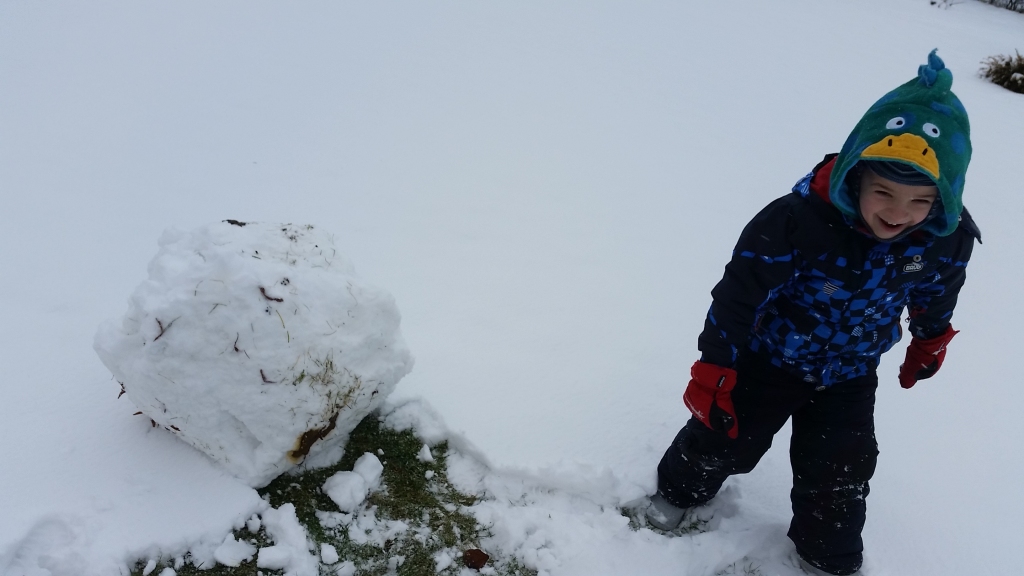 Autors: www.bauskasdzive.lv