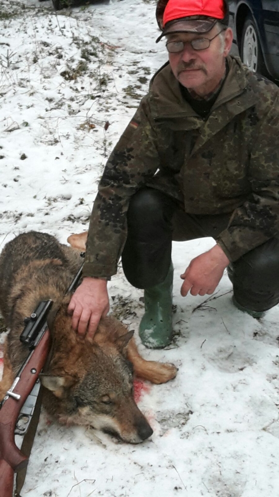 Jānis Zariņš, mednieku kolektīva «Zvirgzde» mednieks, ar medījumu.
Autors: No albuma.