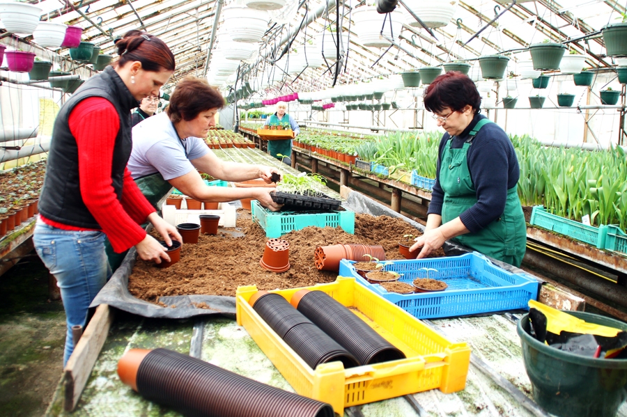 Autors: no «Bauskas Dzīves» arhīva