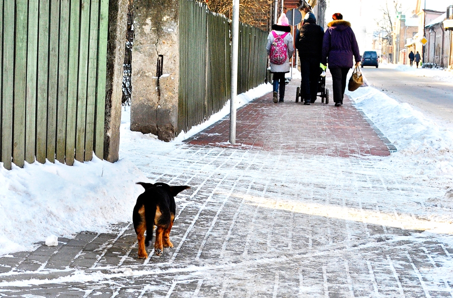 Attēlam ilustratīva nozīme.
Autors: no «Bauskas Dzīves» arhīva.