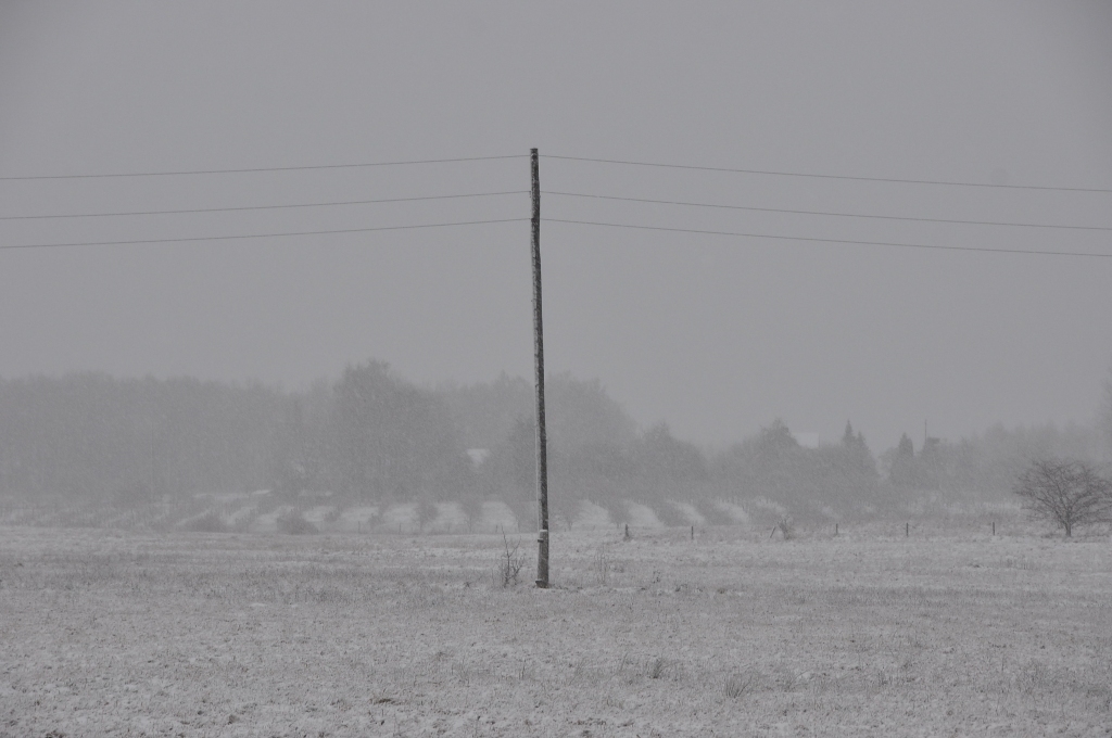 Fotoattēlam ilustratīva nozīme.
Autors: liepajniekiem.lv