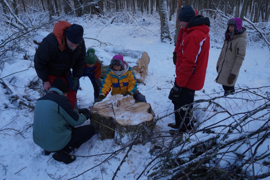 Dabas aizsardzības pārvaldes (DAP) darbinieki trešdien, 11. janvārī, apsekoja vietu Valles pagastā, kur nozāģēts Latvijas dižkoks – Pētermuižas dižā tūja.  ,
Autors: Dainis Ozols