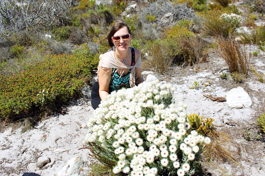 Baltās sniega puķes, kuras aplūkot braukts prāvu gabalu uz kādu botānisko dārzu. Laika apstākļi ziediem nav bijuši labvēlīgi, tādēļ ziedošās bezgalīgi baltās pļavas vietā uzieti vien pāris čemuri. 
Autors: no albuma