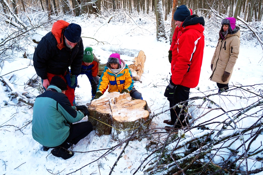 Tūjas apkārtmēru nosaka Dabas aizsardzības pārvaldes speciālisti.
Autors: Dainis Ozols